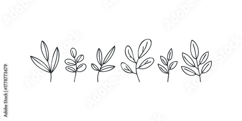 Simple line drawing collection of varied plant stems and leaves