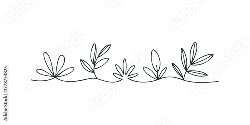 Thin black line drawing of small plants and leaves