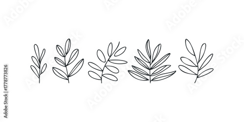 Line drawing of diverse leaf sprigs on white background