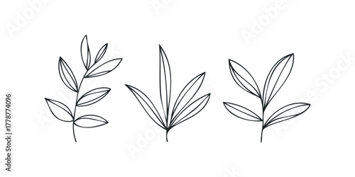 Simple Hand Drawn Botanical Line Art Collection