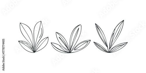 Minimalist Outline Leaves Trio
