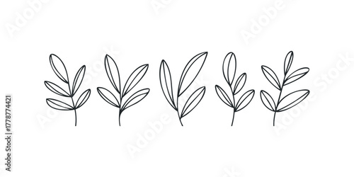 Simple line drawing of five delicate botanical sprigs
