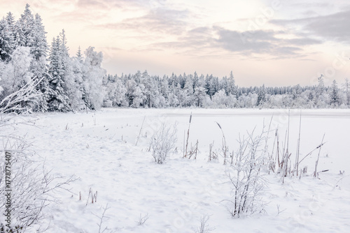 Wallpaper Mural Beach by a snow covered lake in a wintry forest landscape Torontodigital.ca