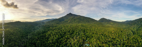 Scenic view of Mount Nambuyukon surrounded by lush tropical rainforest in Serinsim, Kota Marudu, Sabah, Malaysia. Beautiful mountain landscape with rich greenery under blue sky.