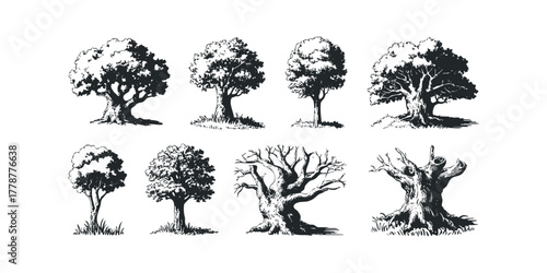 Collection of eight diverse tree silhouettes with textured trunks and foliage
