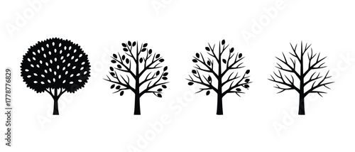 Four stylized trees showing seasonal changes