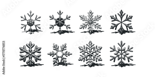 Collection of eight distinct snowflake symbols with shadow cast