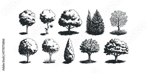 Collection of hand-drawn tree silhouettes and plant forms