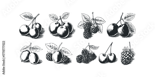Collection of hand-drawn cherries and blackberries with leaves