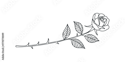 Line drawing of a single rose with stem and leaves