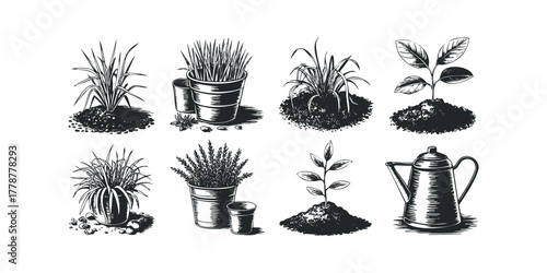 Collection of Hand Drawn Plants and Gardening Tools in Sketch Style