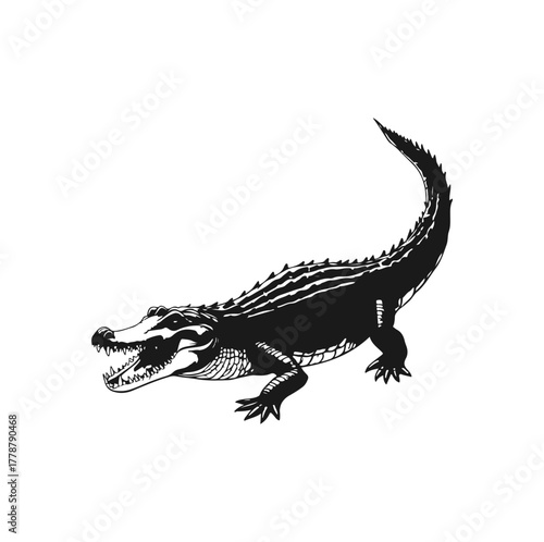 vector illustration of a crocodile