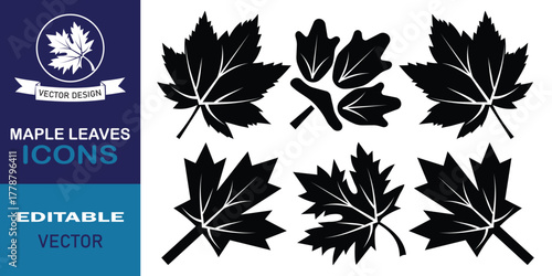 Maple leaves icons, Maple leaf silhouettes. Autumn fall symbol. National Canadian emblem. Set of unique maple leaf designs isolated on white background. Vector illustration.