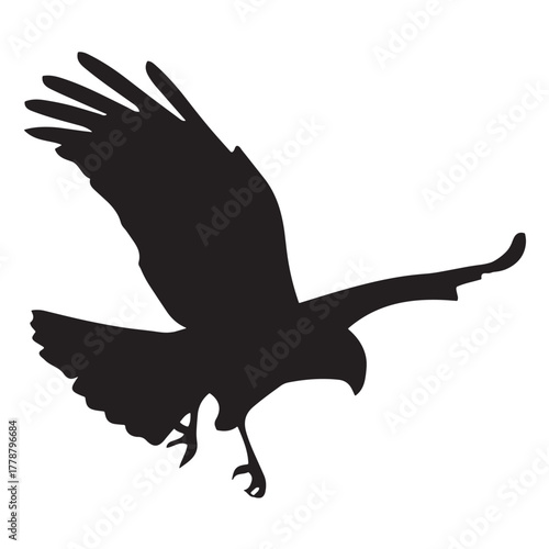 Eagle Silhouette in Flight, Isolated on White Background, Vector Illustration