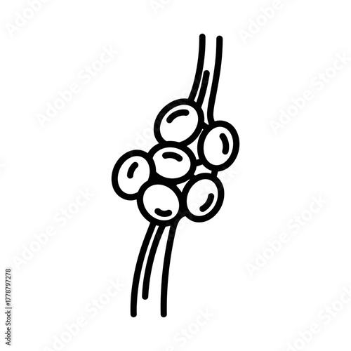 Lymph node illustration in simple line art design  