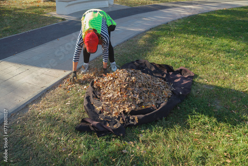Person is raking leaves in a yard