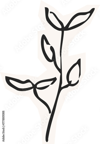 Minimalist Plant Illustration Cutout Paper. Wild forest herbs and flowers vintage textured chalk drawing sketch