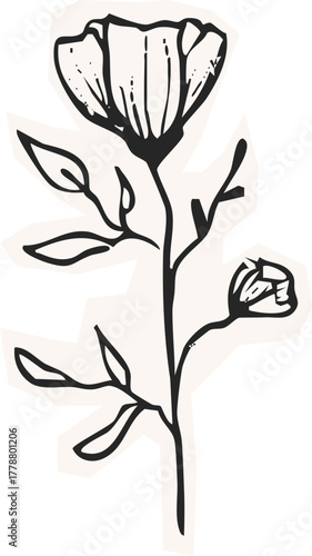 Minimalist Plant Illustration Cutout Paper. Wild forest herbs and flowers vintage textured chalk drawing sketch