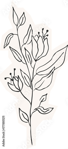 Minimalist Plant Illustration Cutout Paper. Wild forest herbs and flowers vintage textured chalk drawing sketch