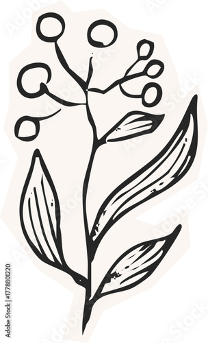 Minimalist Plant Illustration Cutout Paper. Wild forest herbs and flowers vintage textured chalk drawing sketch