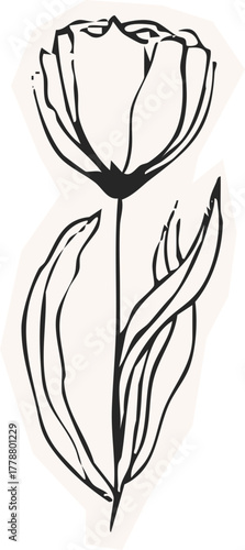 Minimalist Plant Illustration Cutout Paper. Wild forest herbs and flowers vintage textured chalk drawing sketch