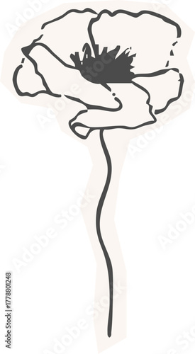 Minimalist Plant Illustration Cutout Paper. Wild forest herbs and flowers vintage textured chalk drawing sketch