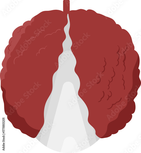 Peeled Lychee Fruit Vector Illustration. Fresh Tropical Sweet Berry with Red Skin and White Flesh, Healthy Food