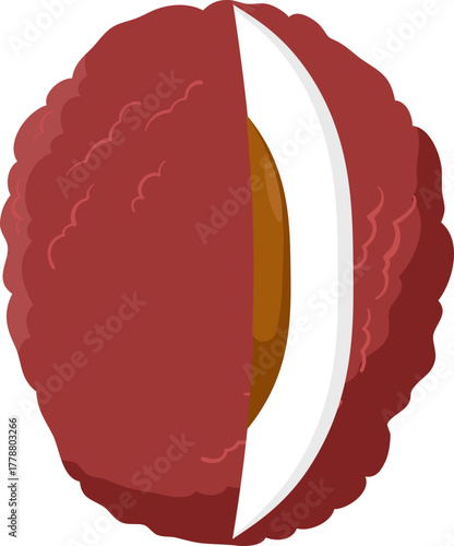 Vibrant lychee fruit, cut open to reveal juicy white flesh and seed. Tropical fruit illustration.