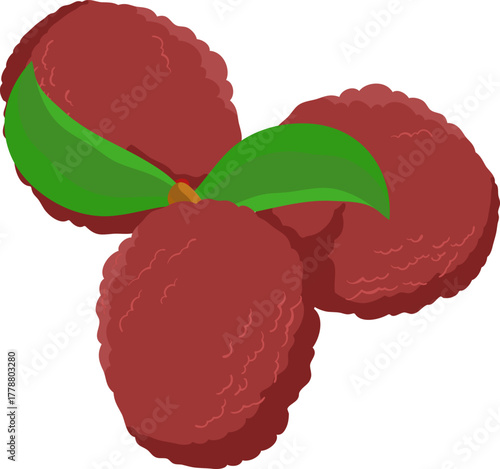 Fresh Lychee Fruit Cluster with Leaves Vector Art