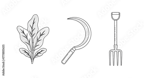 Hand drawn gardening tools and spinach leaf in monochrome sketch style