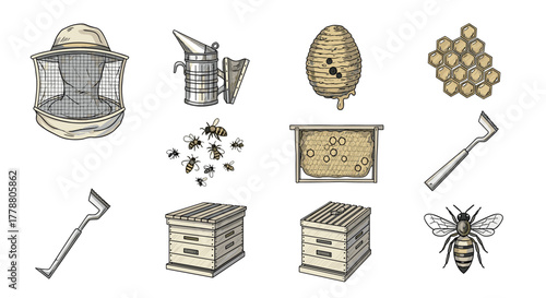 Beekeeping essentials tools and bees in handdrawn style