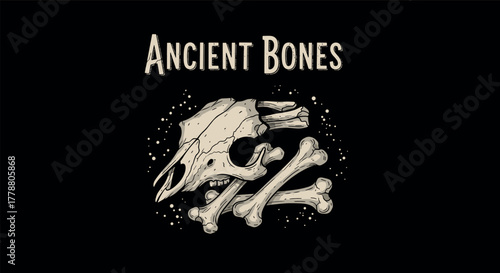 Vintage dinosaur skull with bones on black background