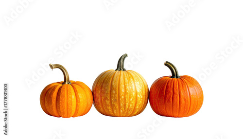 Three pumpkins, orange, yellow, varying shades on black background