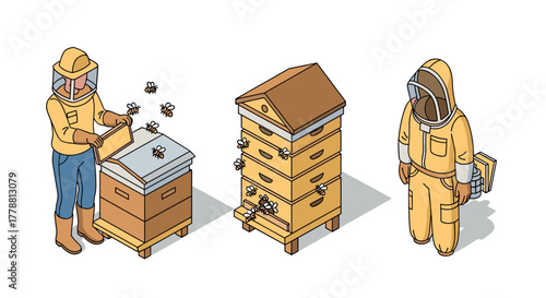 Beekeeping isometric design honey harvest and beehive in detailed vector art