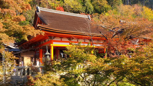 Japanese Temple in autumn