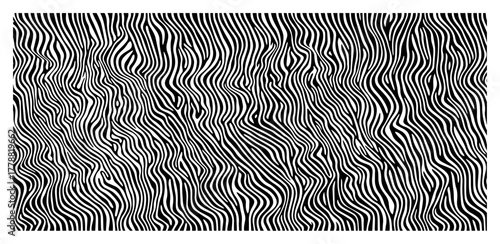 Seamless zebra print pattern vector background abstract wavy vertical lines animal skin texture