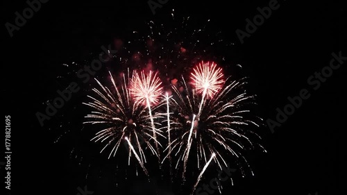 Sparkling bursts of pyrotechnics illuminate the night sky with vibrant colors and intricate patterns