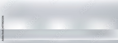 Wallpaper Mural Abstract gray and white backgrounds gradient studio and wall texture vector and illustration Torontodigital.ca