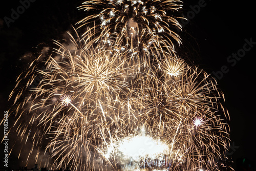 Spectacular Golden Fireworks Display Against Black Sky
