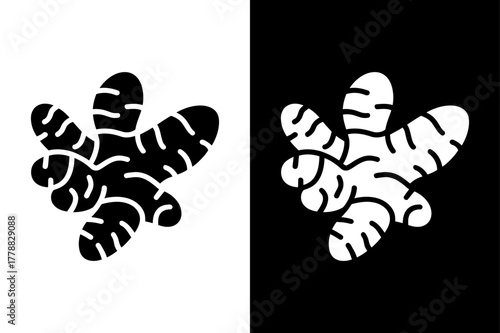 Turmeric Silhouette Icon Design. Black Turmeric Root Vector Illustration on White Background