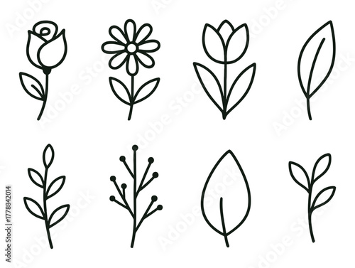 Set of eight minimalist flower and leaf line art on brown background