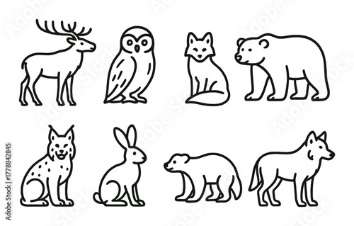 Outlined silhouettes of woodland animals on dark background