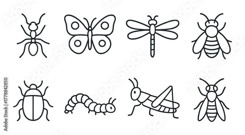 Outlined insect icons collection: ant, butterfly, dragonfly, bee, beetle, caterpillar, grasshopper, wasp