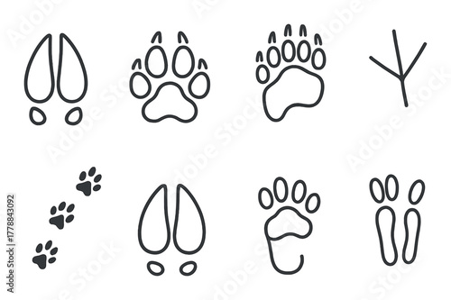 Animal tracks collection: hoof, paw, bird, canine, feline, deer patterns