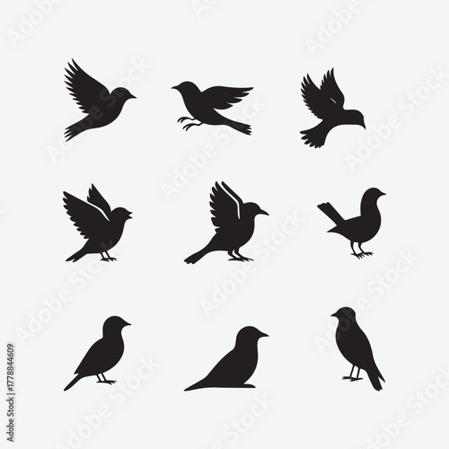 Bald Eagle Silhouette Vector Bundle.