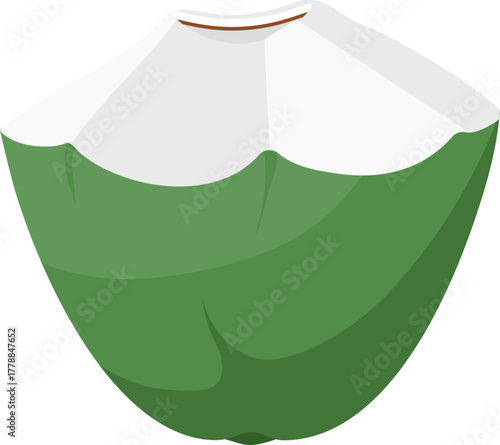 Refreshing Young Green Coconut Water Drink Vector Illustration