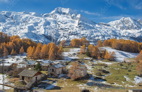 old village le Monal in beautiful autumnal scenic landscape in alpine valley  with golden larch trees in forest and snowy peak mountain background under blue sky  in tarentaise, savoie france