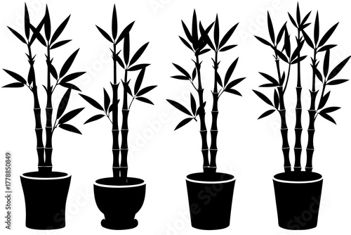 set of Lucky bamboo silhouette vector illustration isolated on white background
