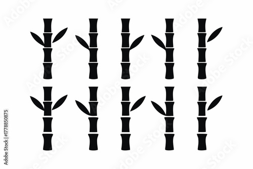 set of Lucky bamboo icon silhouette vector illustration isolated on white background