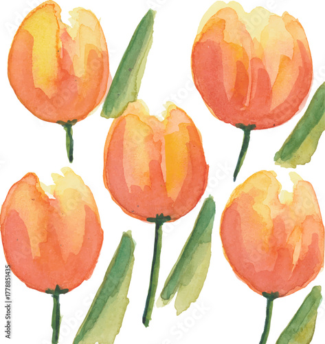 Vibrant Watercolor Orange Tulips with Green Leaves